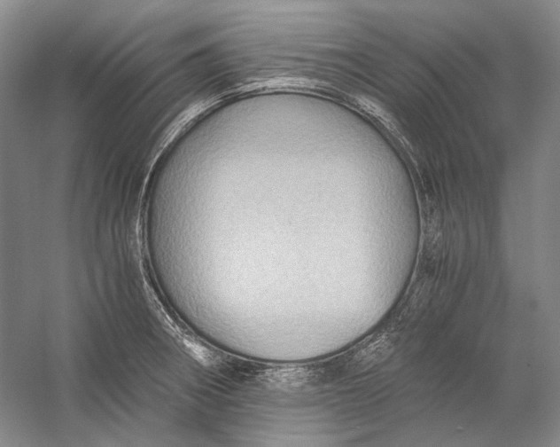 X0000058761282200510171149
