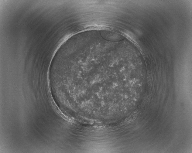 X0000058761283200510171149