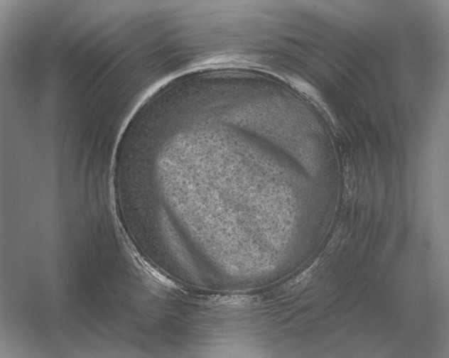 X0000058761288200510171149