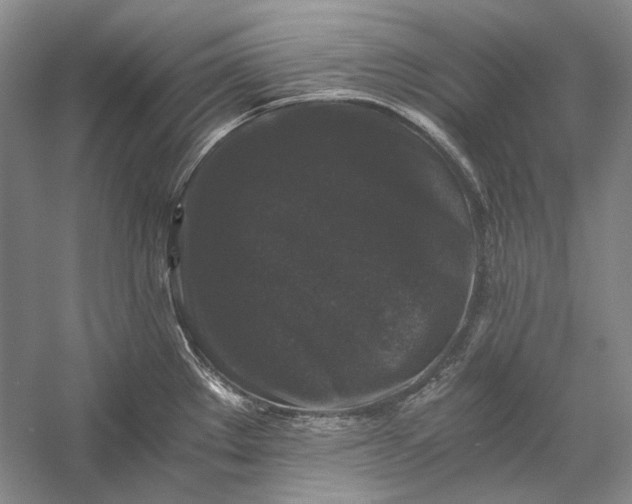 X0000058761289200510171149
