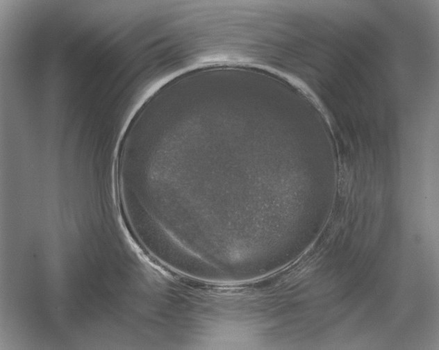 X0000058761295200510171149