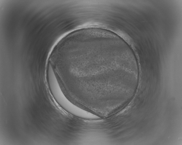 X0000058761296200510171149