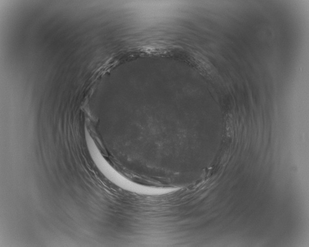 X0000058761298200510171148