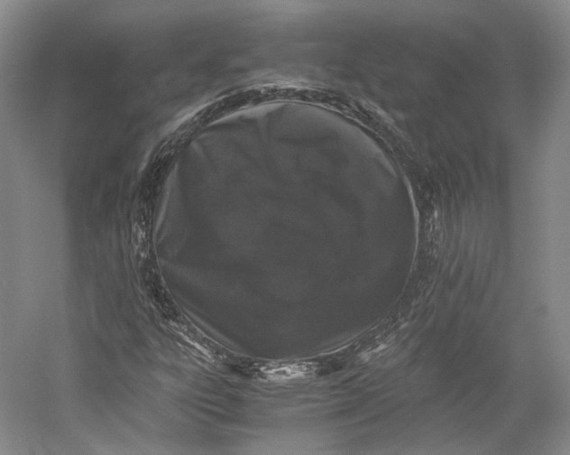 X0000058761303200510171148