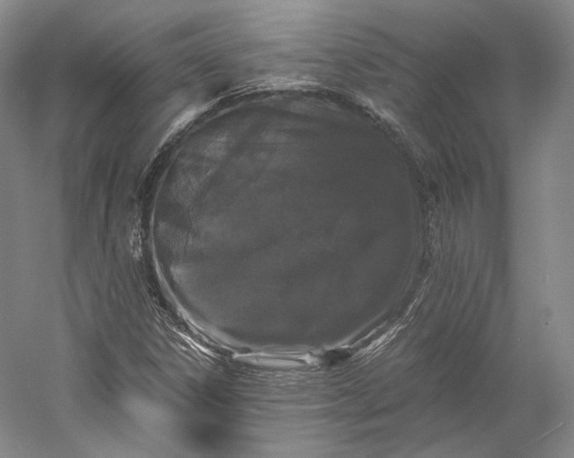 X0000058761306200510171148