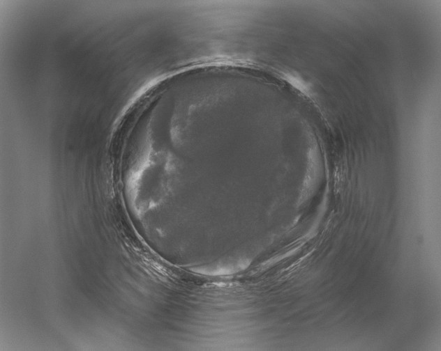 X0000058761310200510171148