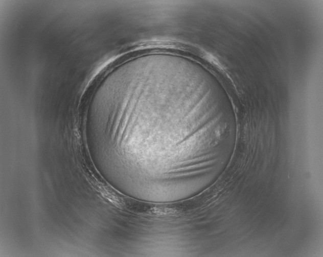 X0000058761312200510171148