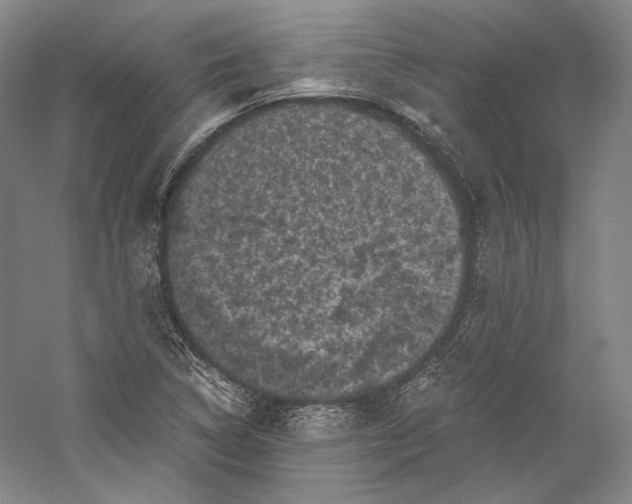 X0000058761314200510171148