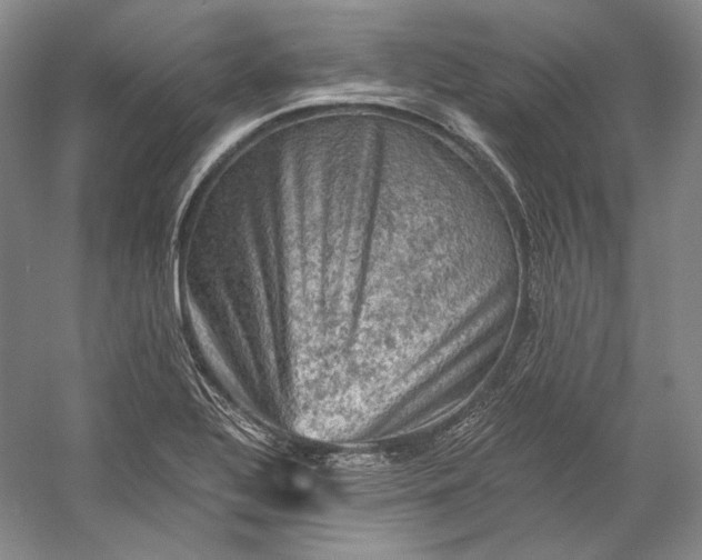 X0000058761320200510171148