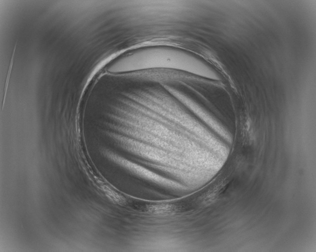 X0000058761328200510171149