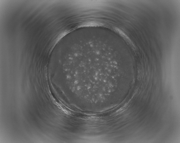 X0000058761329200510171149