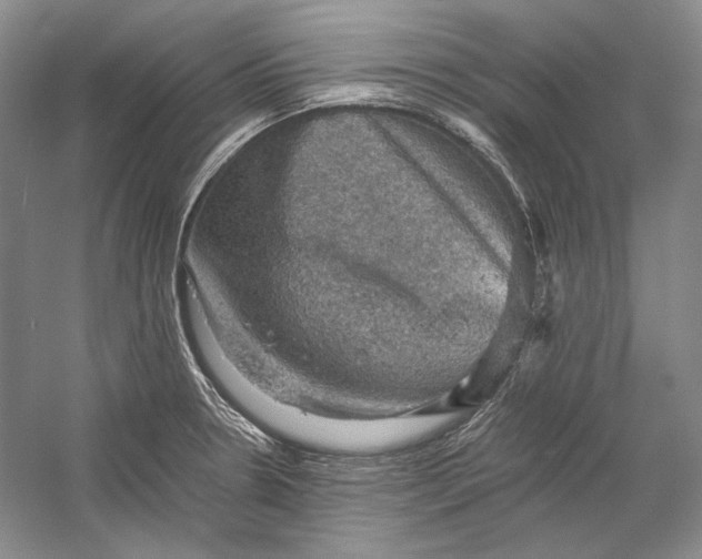 X0000058761330200510171149
