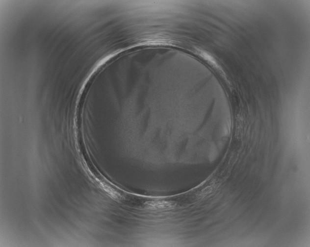 X0000058761331200510171149