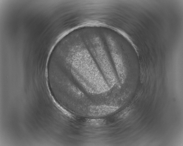 X0000058761335200510171149