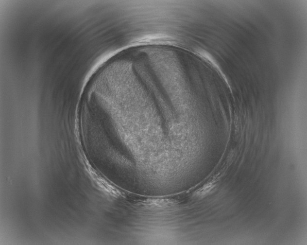 X0000058761336200510171149