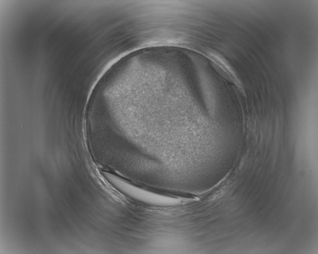 X0000058761340200510171149
