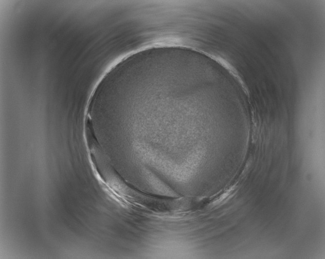 X0000058761342200510171149