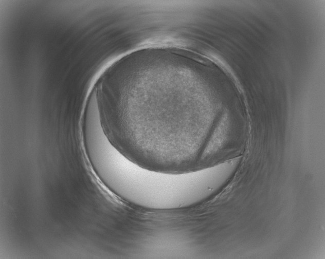 X0000058761344200510171149
