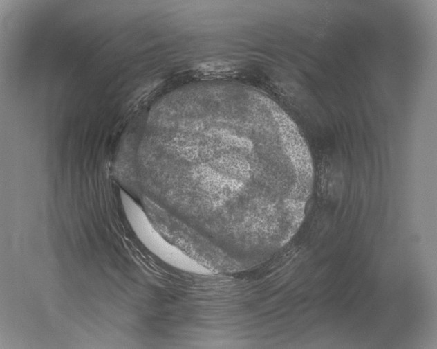 X0000058761346200510171148