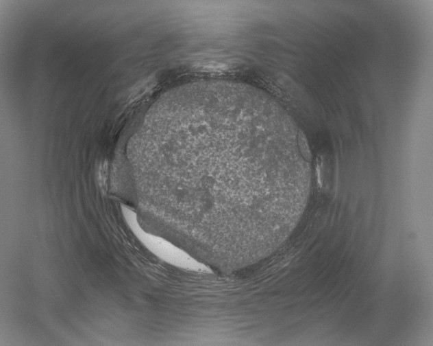 X0000058761347200510171148