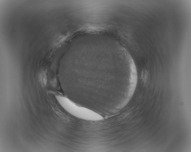 X0000058761348200510171148