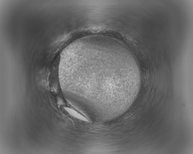 X0000058761349200510171148