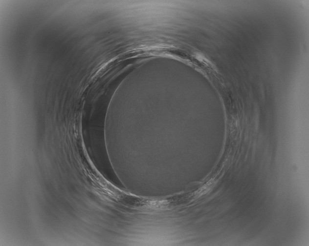 X0000058761353200510171148