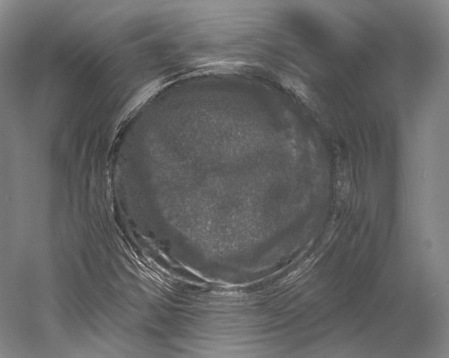 X0000058761354200510171148