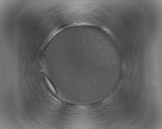X0000058761361200510171148