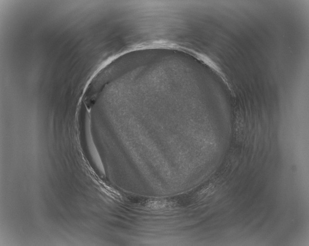 X0000058761364200510171148