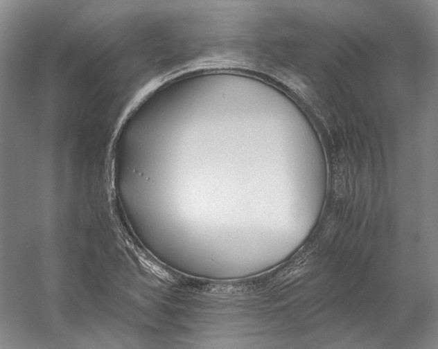 X0000058761366200510171148