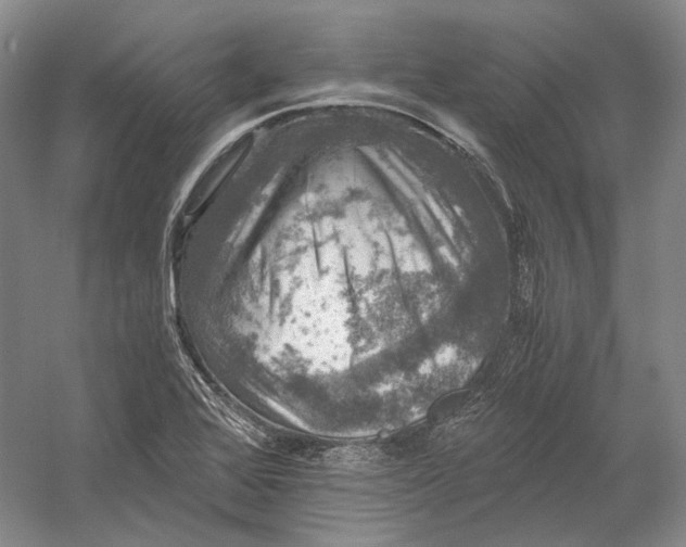 X0000058761368200510171148
