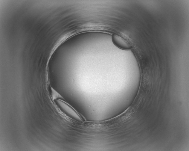 X0000058761370200510171148
