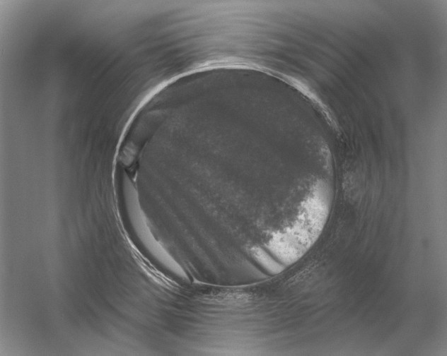 X0000058761372200510171148