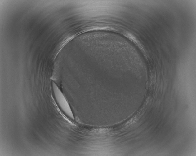X0000058761377200510171148