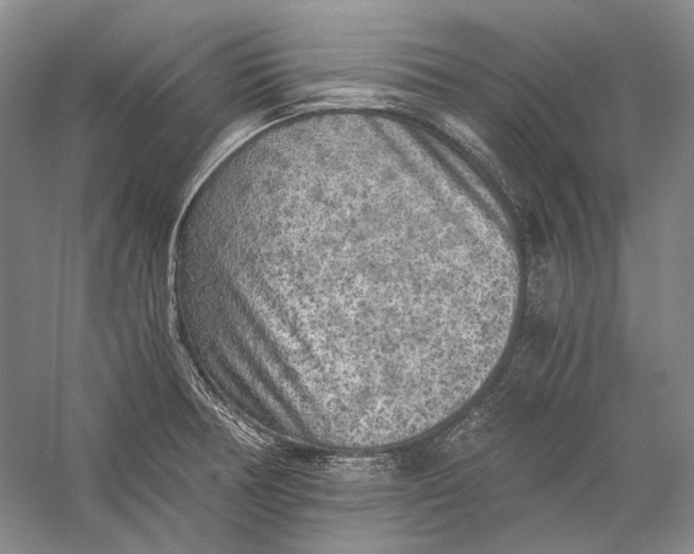 X0000058761378200510171148