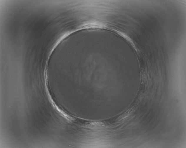 X0000058761383200510171147