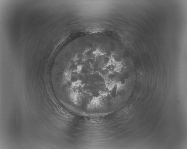 X0000058761393200510171146