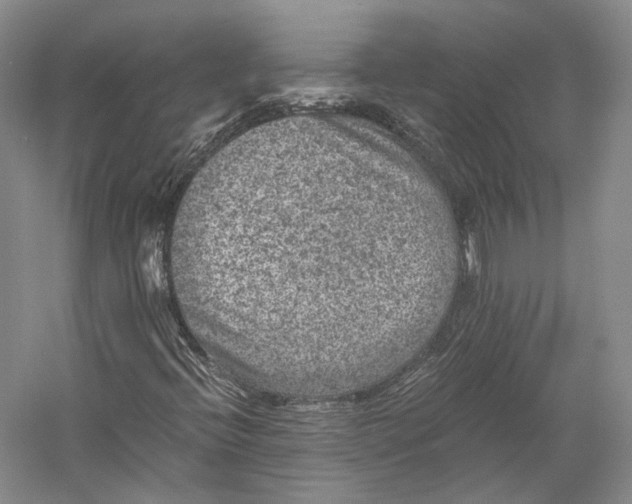 X0000058761396200510171146