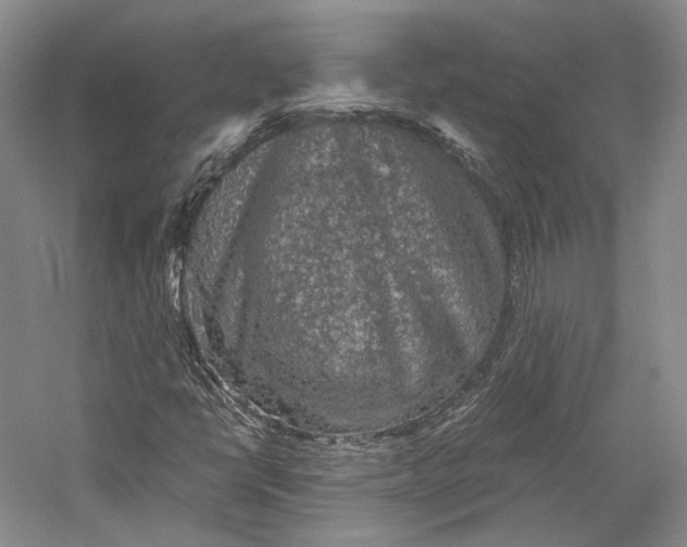 X0000058761398200510171147