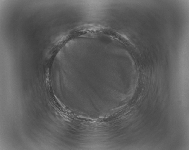 X0000058761399200510171147