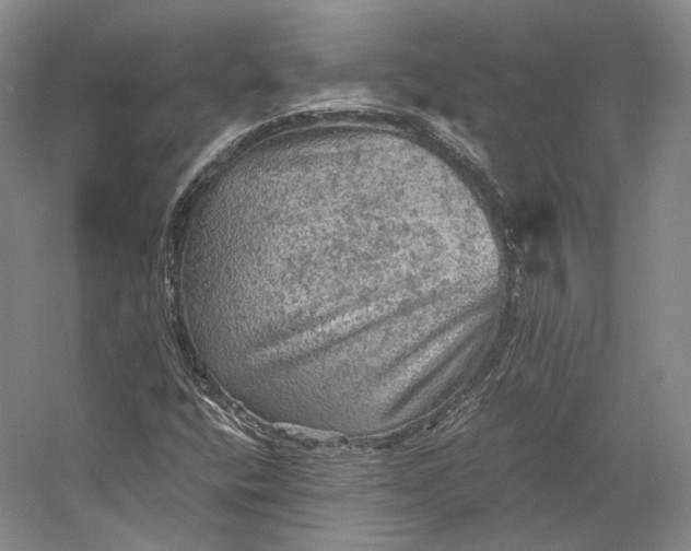 X0000058761400200510171147