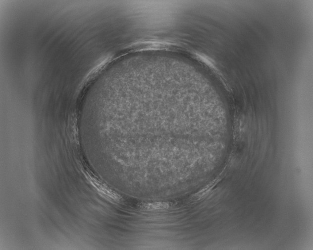 X0000058761403200510171147