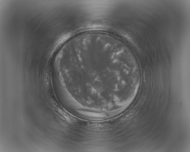 X0000058761405200510171147
