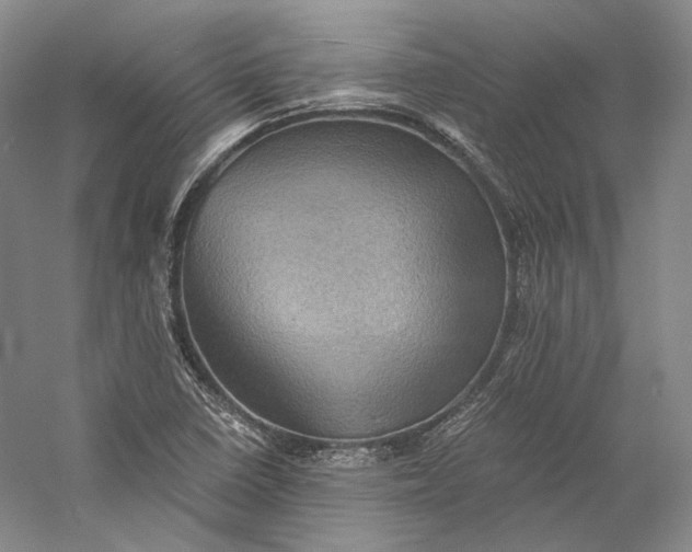 X0000058761410200510171147
