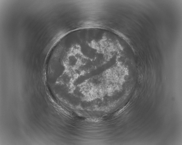 X0000058761415200510171147