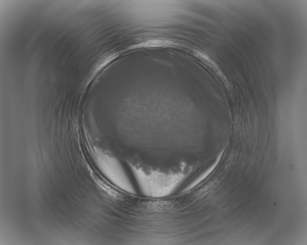X0000058761425200510171147