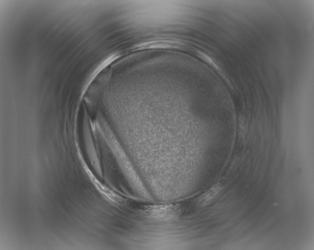 X0000058761426200510171147