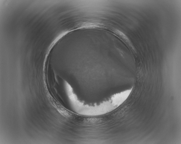 X0000058761427200510171147