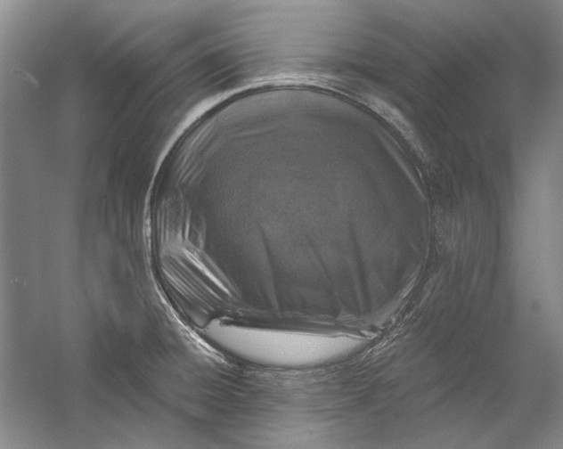X0000058761428200510171147
